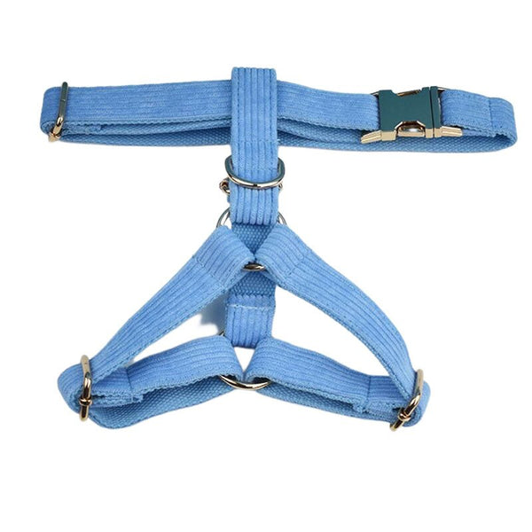 PERSONALIZZABILE - SET PETTORINA PER CANI IN VELLUTO CELESTE A COSTE