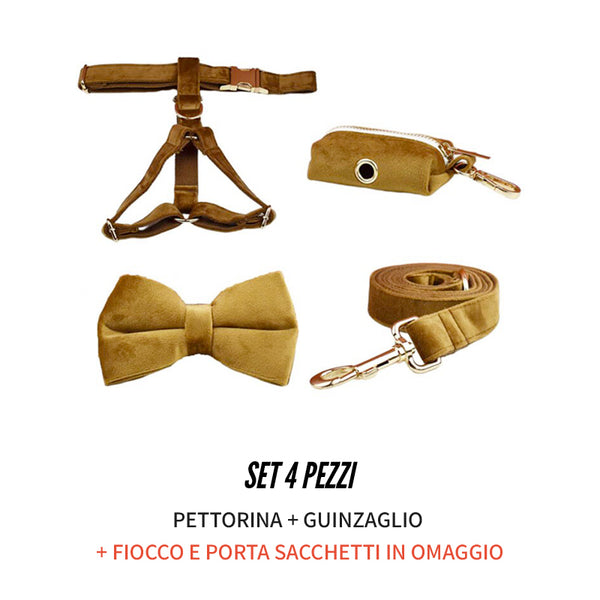 PERSONALIZZABILE - SET PETTORINA PER CANI IN VELLUTO CARAMELLO