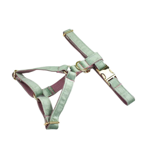 PERSONALIZZABILE - SET PETTORINA PER CANI IN VELLUTO MENTA FONDO ROSA