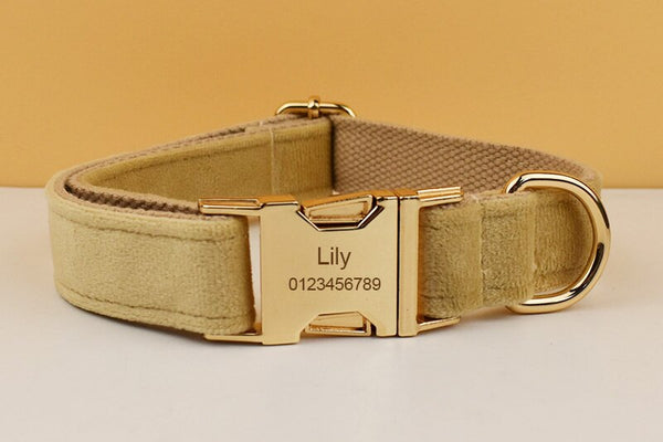 PERSONALIZZABILE - SET PETTORINA PER CANI IN VELLUTO BEIGE