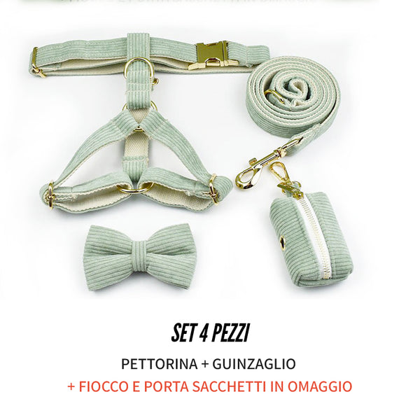 PERSONALIZZABILE - SET PETTORINA PER CANI IN VELLUTO SALVIA A COSTE