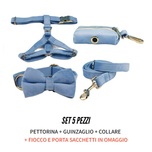 PERSONALIZZABILE - SET PETTORINA PER CANI IN VELLUTO CELESTE