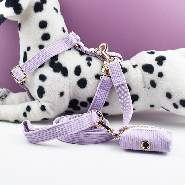 PERSONALIZZABILE - SET PETTORINA PER CANI IN VELLUTO LILLA A COSTE