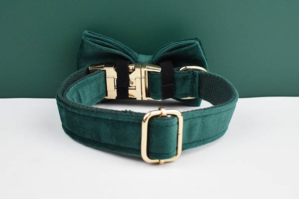 PERSONALIZZABILE - SET PETTORINA PER CANI IN VELLUTO VERDE SCURO