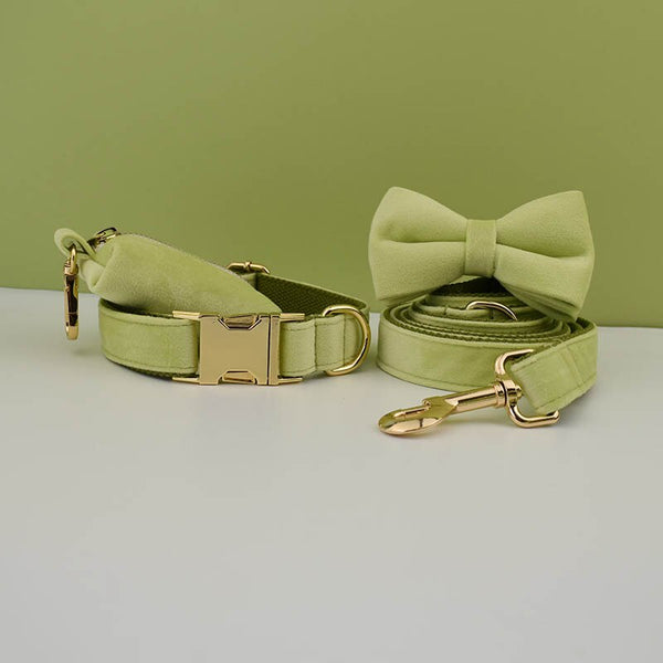 PERSONALIZZABILE - SET COLLARE PER CANI IN VELLUTO PISTACCHIO
