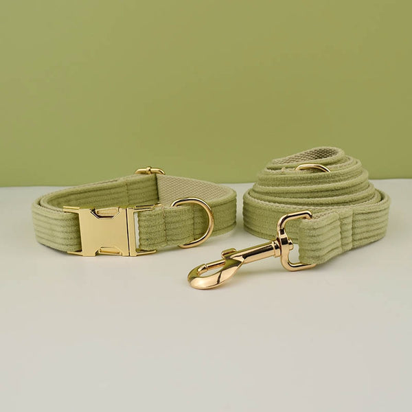 PERSONALIZZABILE - SET COLLARE PER CANI IN VELLUTO PISTACCHIO A COSTE