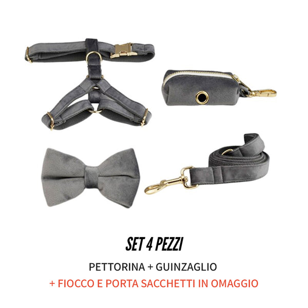 PERSONALIZZABILE - SET PETTORINA PER CANI IN VELLUTO GRIGIO SCURO
