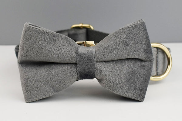 PERSONALIZZABILE - SET PETTORINA PER CANI IN VELLUTO GRIGIO SCURO