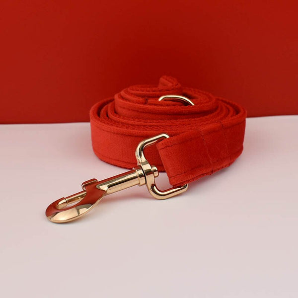 PERSONALIZZABILE - SET PETTORINA PER CANI IN VELLUTO ROSSO