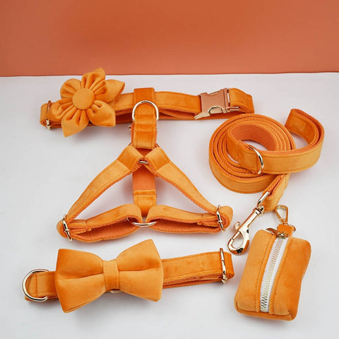 PERSONALIZZABILE - SET PETTORINA PER CANI IN VELLUTO ARANCIONE