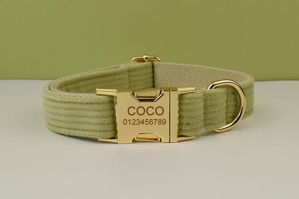 PERSONALIZZABILE - SET COLLARE PER CANI IN VELLUTO PISTACCHIO A COSTE