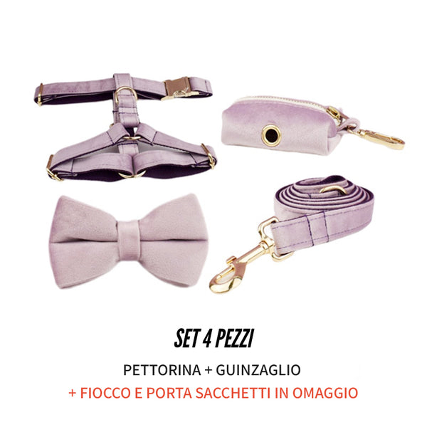 PERSONALIZZABILE - SET PETTORINA PER CANI IN VELLUTO GLICINE FONDO VIOLA