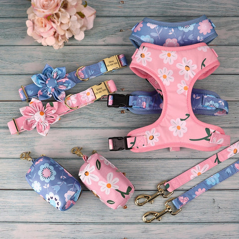 PERSONALIZZABILE - SET PETTORINA PER CANI CON COLLARE, GUINZAGLIO E PORTA SACCHETTINI DAISY