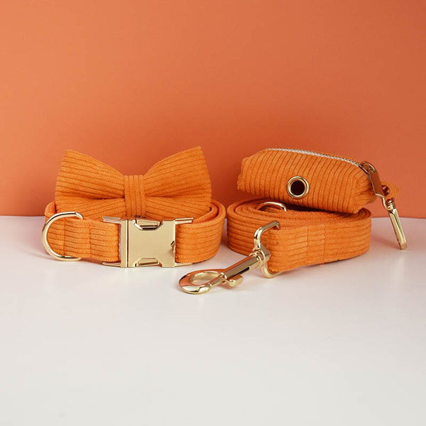 PERSONALIZZABILE - SET PETTORINA PER CANI IN VELLUTO ARANCIONE A COSTE