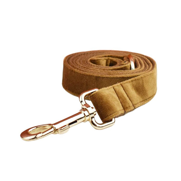 PERSONALIZZABILE - SET PETTORINA PER CANI IN VELLUTO CARAMELLO
