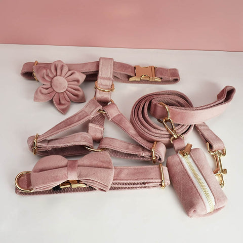 PERSONALIZZABILE - SET PETTORINA PER CANI IN VELLUTO ROSA ANTICO