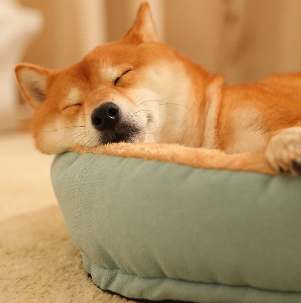 CUCCIA PER CANI IN MORBIDO PELUCHE SHIBA