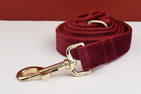 PERSONALIZZABILE - SET PETTORINA PER CANI IN VELLUTO PORPORA