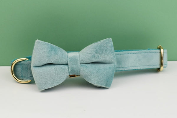PERSONALIZZABILE - SET PETTORINA PER CANI IN VELLUTO MENTA
