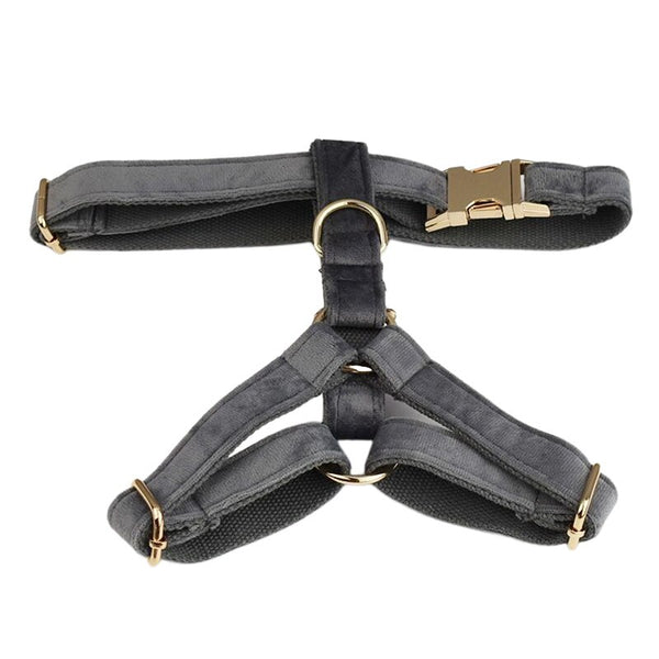 PERSONALIZZABILE - SET PETTORINA PER CANI IN VELLUTO GRIGIO SCURO