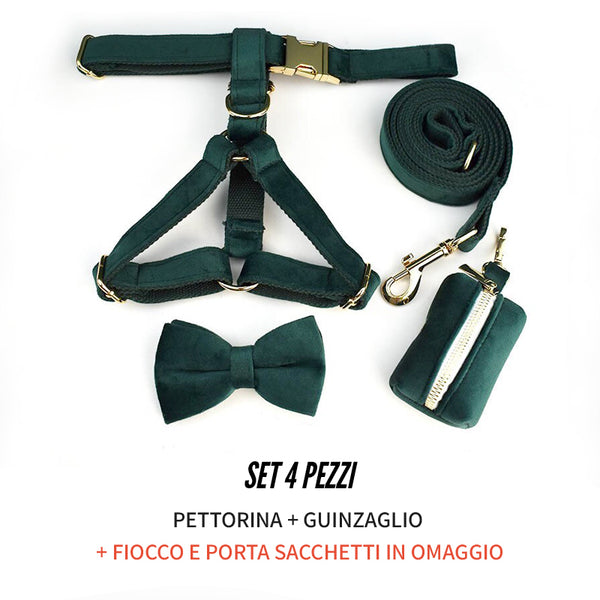 PERSONALIZZABILE - SET PETTORINA PER CANI IN VELLUTO VERDE SCURO