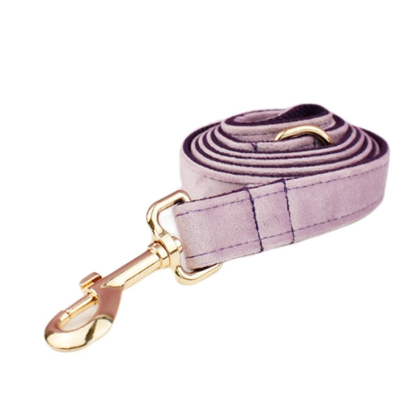 PERSONALIZZABILE - SET PETTORINA PER CANI IN VELLUTO GLICINE FONDO VIOLA