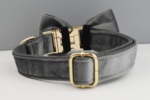 PERSONALIZZABILE - SET PETTORINA PER CANI IN VELLUTO GRIGIO SCURO