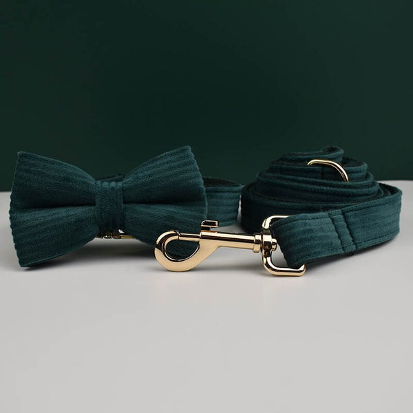 PERSONALIZZABILE - SET COLLARE PER CANI IN VELLUTO VERDE PETROLIO A COSTE