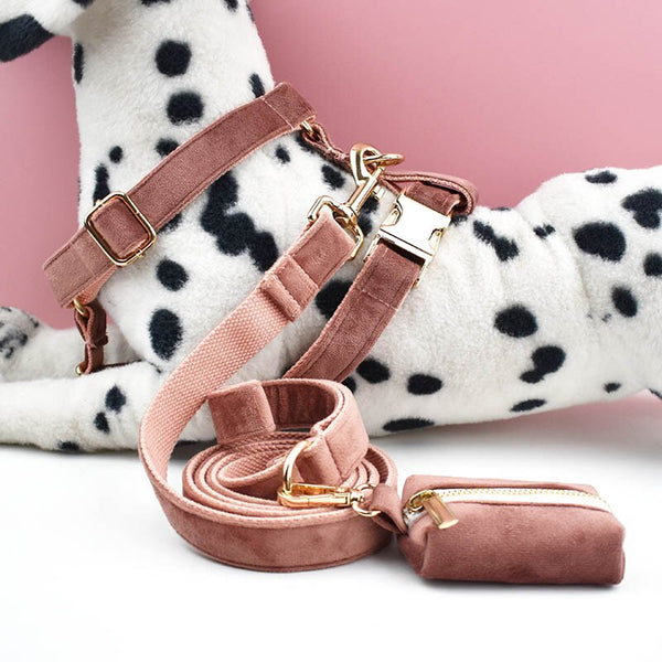 PERSONALIZZABILE - SET PETTORINA PER CANI IN VELLUTO NOCCIOLA