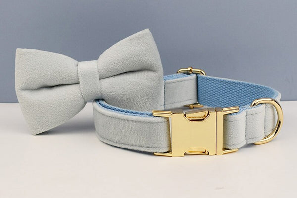 PERSONALIZZABILE - SET PETTORINA PER CANI IN VELLUTO BLU GHIACCIO