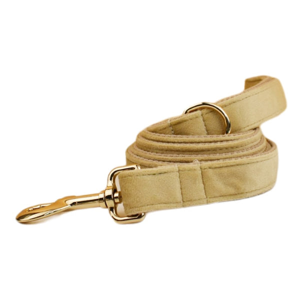 PERSONALIZZABILE - SET PETTORINA PER CANI IN VELLUTO BEIGE