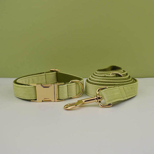 PERSONALIZZABILE - SET COLLARE PER CANI IN VELLUTO PISTACCHIO