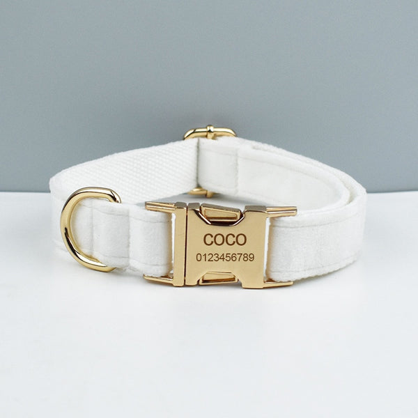 PERSONALIZZABILE - SET PETTORINA PER CANI IN VELLUTO BIANCO