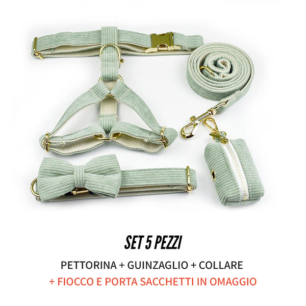 PERSONALIZZABILE - SET PETTORINA PER CANI IN VELLUTO SALVIA A COSTE