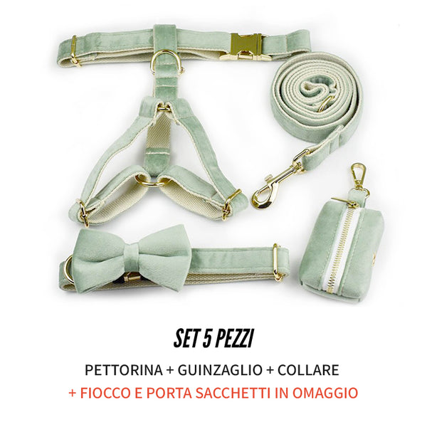 PERSONALIZZABILE - SET PETTORINA PER CANI IN VELLUTO SALVIA