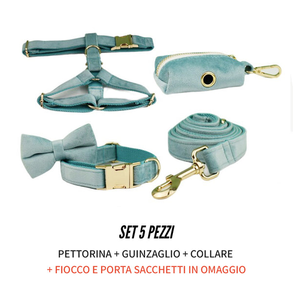 PERSONALIZZABILE - SET PETTORINA PER CANI IN VELLUTO MENTA