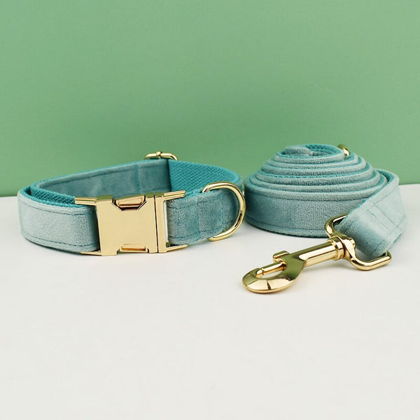 PERSONALIZZABILE - SET PETTORINA PER CANI IN VELLUTO MENTA