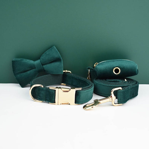 PERSONALIZZABILE - SET PETTORINA PER CANI IN VELLUTO VERDE SCURO