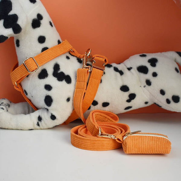 PERSONALIZZABILE - SET PETTORINA PER CANI IN VELLUTO ARANCIONE A COSTE