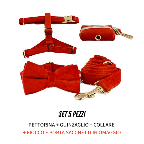 PERSONALIZZABILE - SET PETTORINA PER CANI IN VELLUTO ROSSO