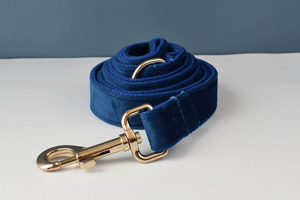 PERSONALIZZABILE - SET PETTORINA PER CANI IN VELLUTO BLU