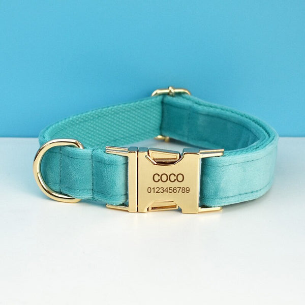 PERSONALIZZABILE - SET PETTORINA PER CANI IN VELLUTO AZZURRO