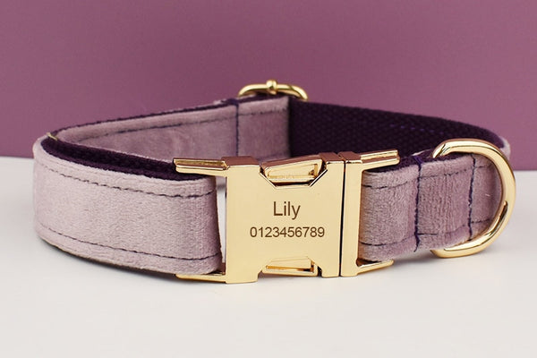 PERSONALIZZABILE - SET PETTORINA PER CANI IN VELLUTO GLICINE FONDO VIOLA