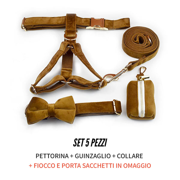 PERSONALIZZABILE - SET PETTORINA PER CANI IN VELLUTO CARAMELLO