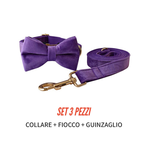 PERSONALIZZABILE - SET COLLARE PER CANI IN VELLUTO VIOLA