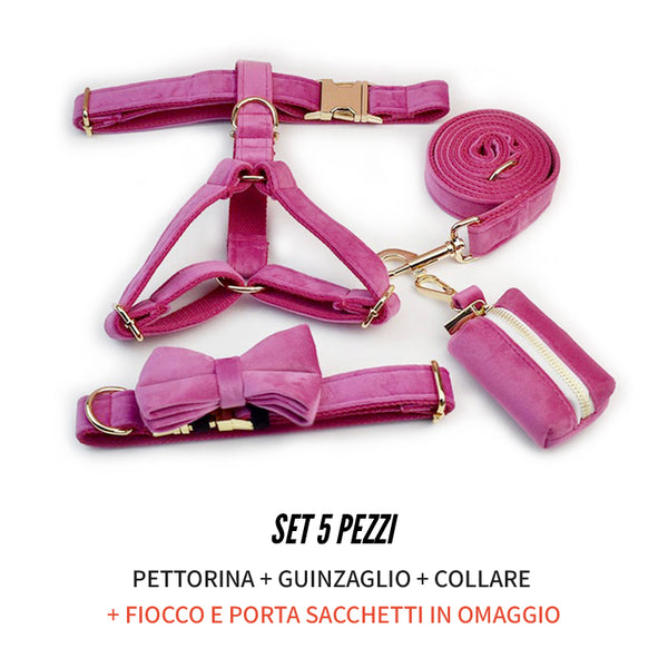 PERSONALIZZABILE - SET PETTORINA PER CANI IN VELLUTO PEONIA