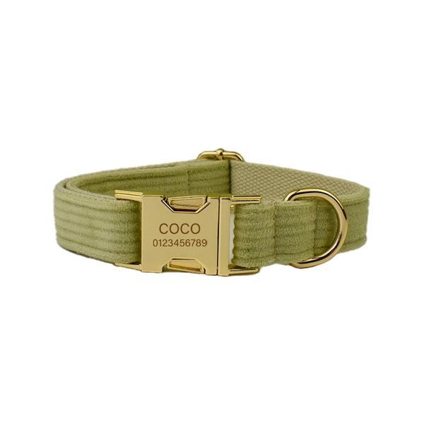 PERSONALIZZABILE - SET COLLARE PER CANI IN VELLUTO PISTACCHIO A COSTE