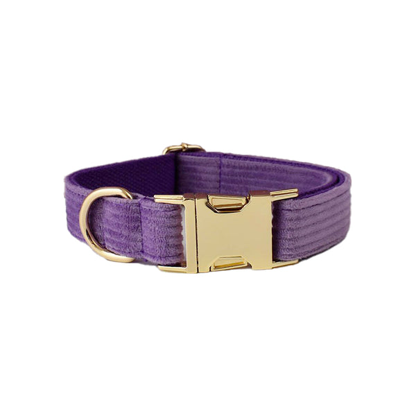 PERSONALIZZABILE - SET COLLARE PER CANI IN VELLUTO VIOLA A COSTE