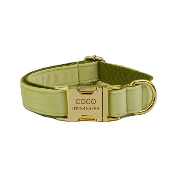 PERSONALIZZABILE - SET COLLARE PER CANI IN VELLUTO PISTACCHIO
