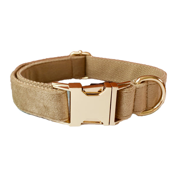 PERSONALIZZABILE - SET COLLARE PER CANI IN VELLUTO BEIGE